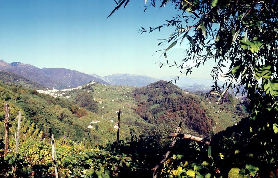Colline del Prosecco UNESCO
