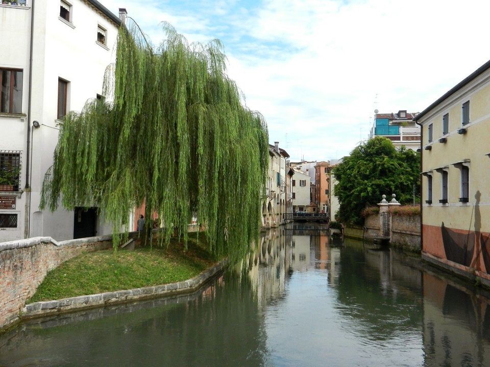 Treviso